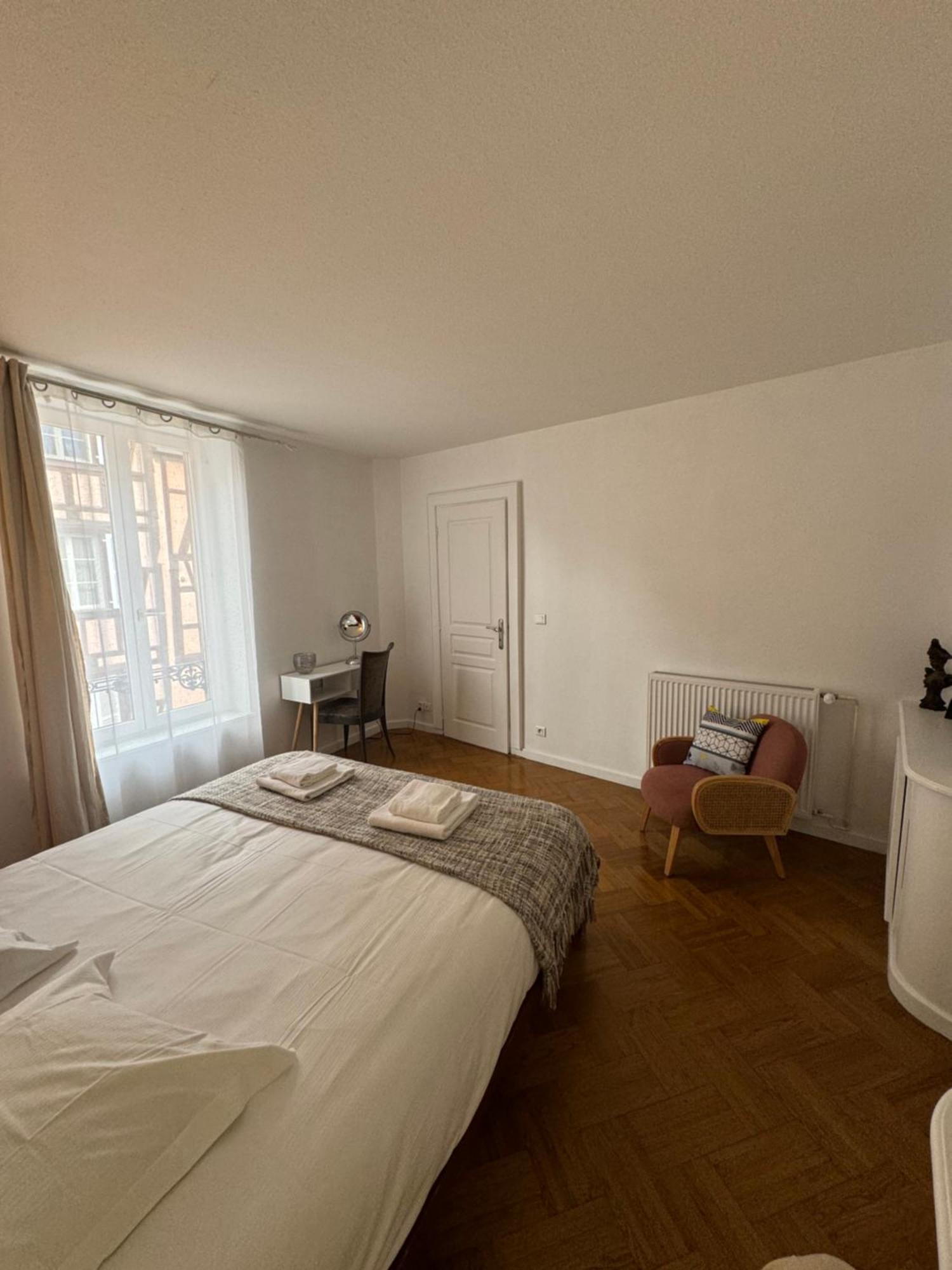Appartement De Standing Hypercentre Colmar Buitenkant foto